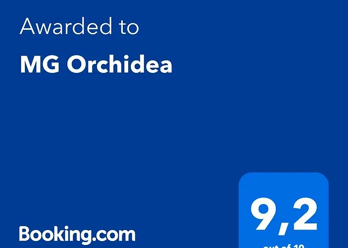 Mg Orchidea ミラノ